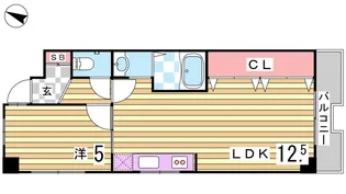 シティライフ坂口通【1階】の間取り