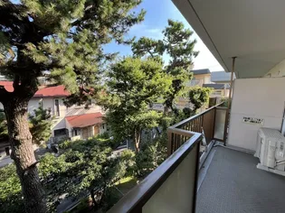 メゾン住吉川【3階】の外観