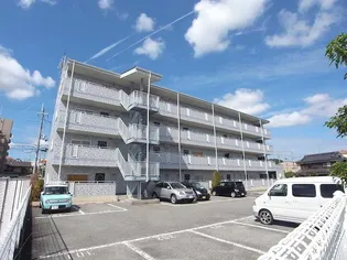 シュロスアリノの画像