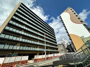 リヴィアスコウベソレイユの画像