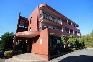 ヴェルジェの画像