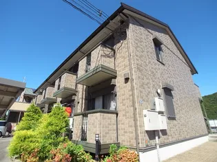 ルナコートの画像