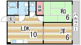ハイツ菊水【4階】の間取り