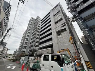 Dー1兵庫の画像