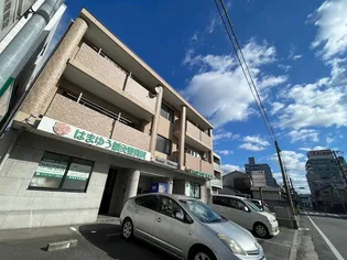 サニーニシウラの画像