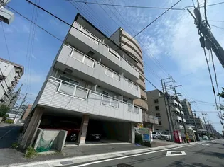 モア エレガンスの画像