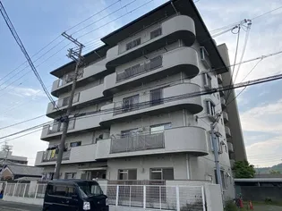 THECITY白浜の画像