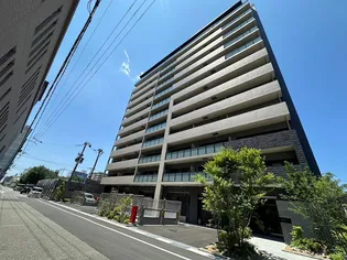 ケイマンの画像