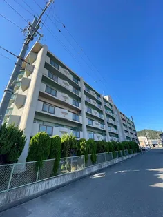 ルネ東辻井の画像