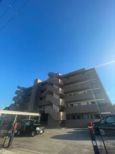 グローバル高田の画像