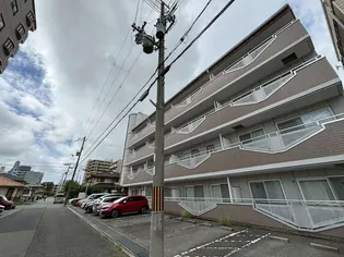 ピュア エレガンスの画像