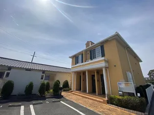 ワイズコンブリオⅤの画像