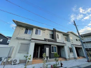 コスモアクレオの画像