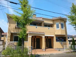 ソレイユ セタⅡの画像