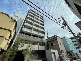 ベラ ルーナの画像