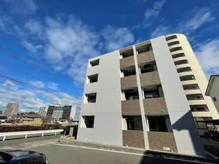 コオリナの画像