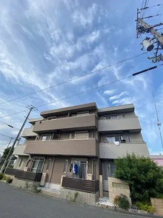 アスリスの画像