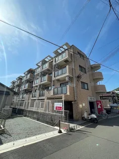 ジュネス白国の画像