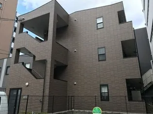 アンプルールフェールSHIBATAの画像