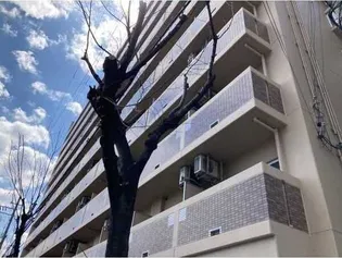 大阪府大阪市東淀川区柴島1丁目【マンション】の外観