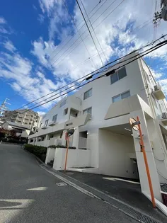 はなみずきの画像