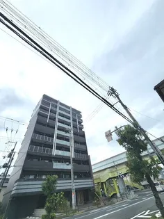 スプランディッドVの画像