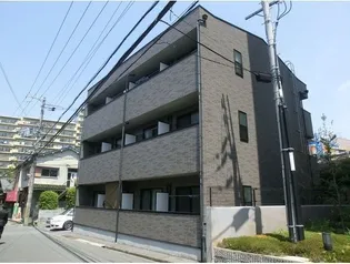 アンプルールフェールカメリアの画像