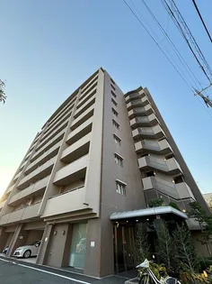 プロミネントコートの画像