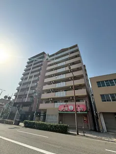 エレーヌ十三の画像