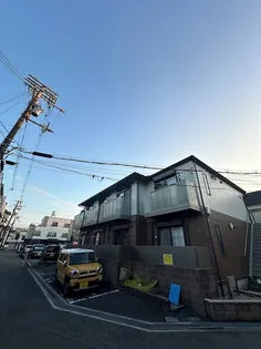 コーラルショウの画像