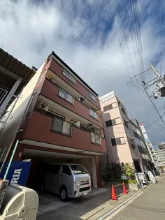 エル カスティージョの画像