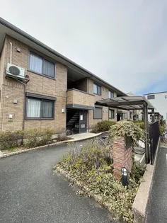 プリマコートの画像