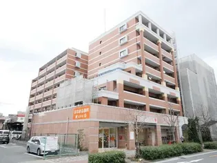 レックス豊新の画像