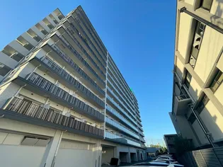 スプランディッドセブンの画像