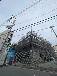 トリシア淡路の画像