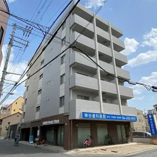 ライフロードの画像
