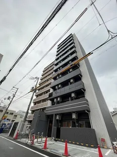 MJC大阪リベルテの画像