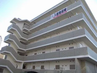 HEI STADTの画像