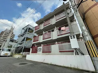 ルーミーハイツ【2階】の外観