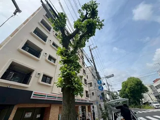 Lumina【4階】の外観