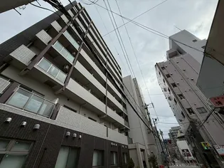 プラチナコート2の画像