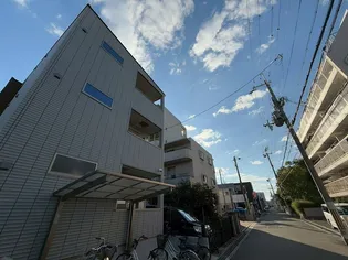 ラエタニテの画像