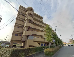 マブランシェット弦月の画像