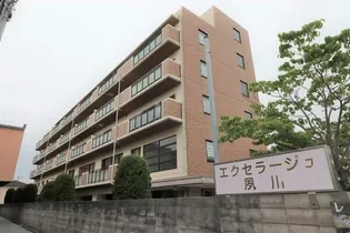 エクセラージュ夙川の画像