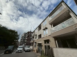 カーサカトレアの画像