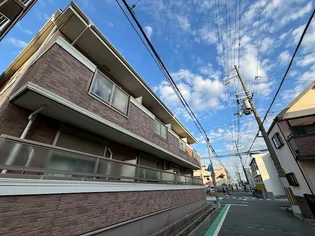 ネオカーサの画像