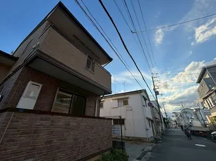 エレガンテアルバの画像