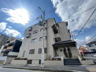 プリメーラリヨンの画像