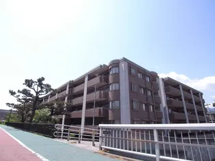 セレッソコート芦屋中央公園の画像