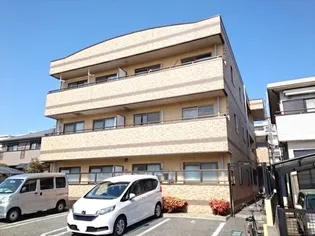 ヴィヴィッドの画像